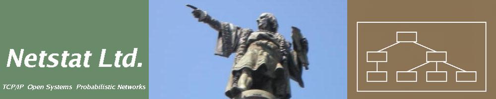 Netstat Ltd. - Christopher Columbus Pointing - Logo